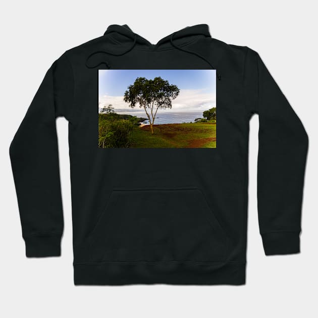 Seascapes in Honolulu Hoodie by KensLensDesigns